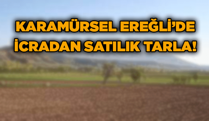 Karamürsel Ereğli’de icradan satılık tarla!