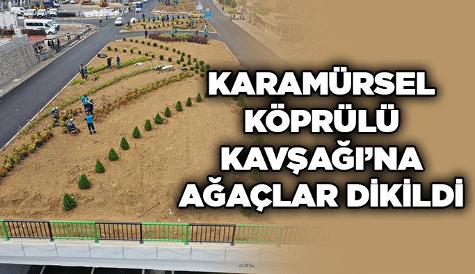 Karamürsel Köprülü Kavşağı’na ağaçlar dikildi