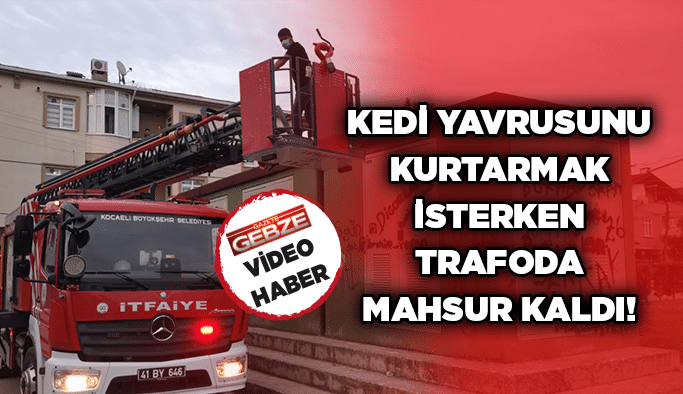 Kedi yavrusunu kurtarmak için trafoda mahsur kaldı!