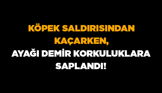 Köpek saldırısından kaçarken, ayağı demir korkuluklara saplandı!
