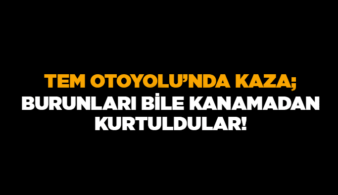 TEM Otoyolu’nda kaza; burunları bile kanamadan kurtuldular!