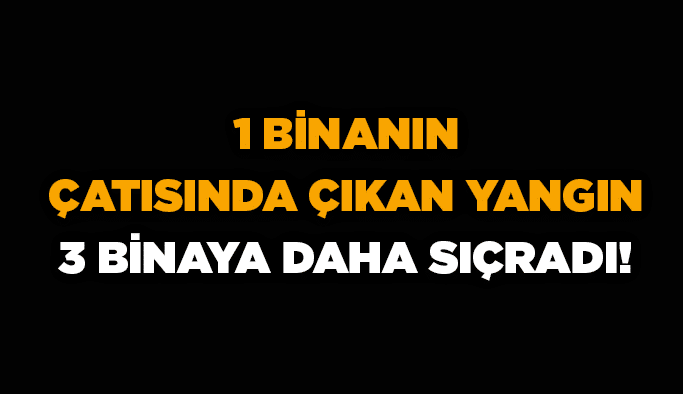 1 binanın çatısında çıkan yangın 3 binaya daha sıçradı!