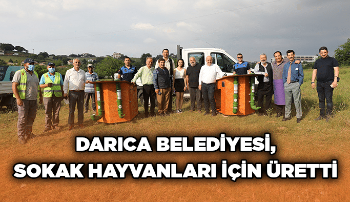 Darıca Belediyesi, sokak hayvanları için üretti