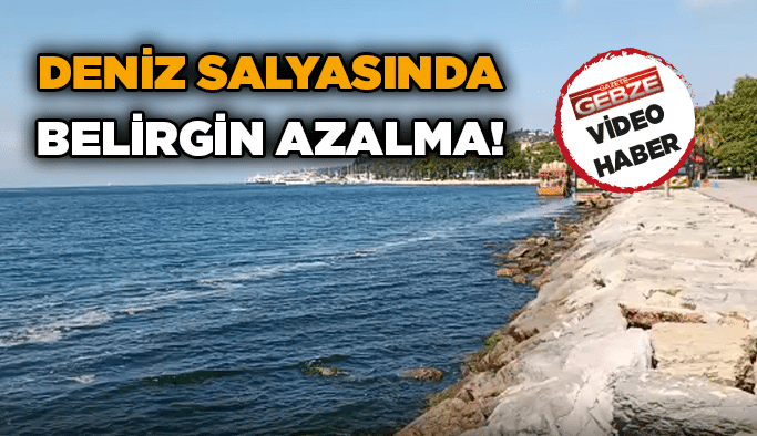 Deniz salyasında belirgin azalma!