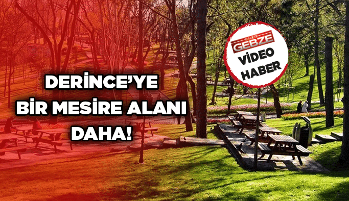 Derince’ye bir mesire alanı daha!