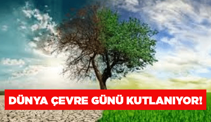 Dünya Çevre Günü kutlanıyor!