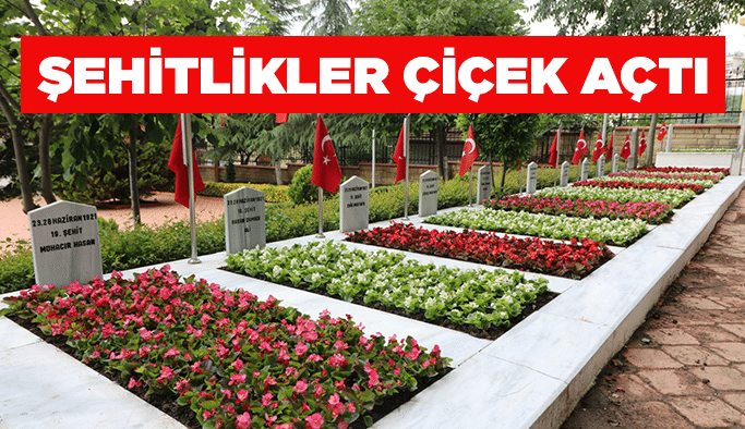 Şehitlikler çiçek açtı