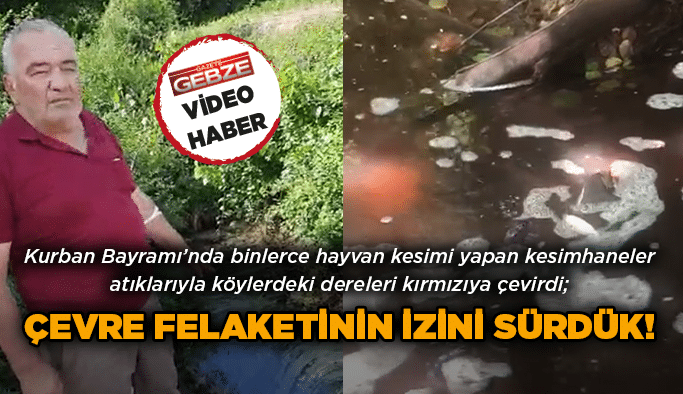 Çevre felaketinin izini sürdük!