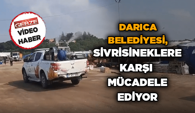 Darıca Belediyesi, sivrisineklere karşı mücadele ediyor