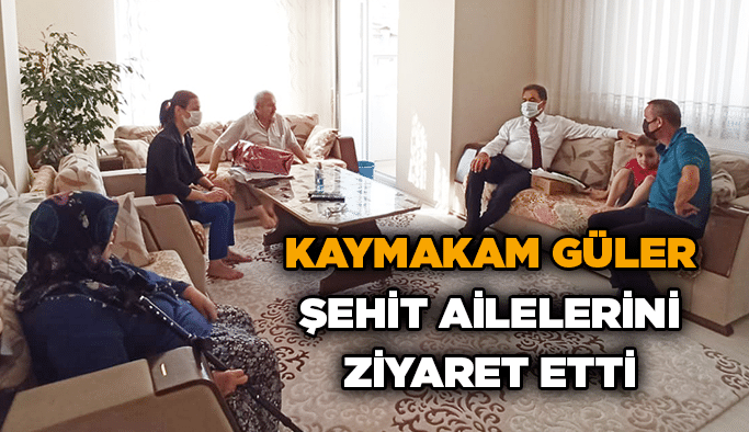 Kaymakam Güler şehit ailelerini ziyaret etti