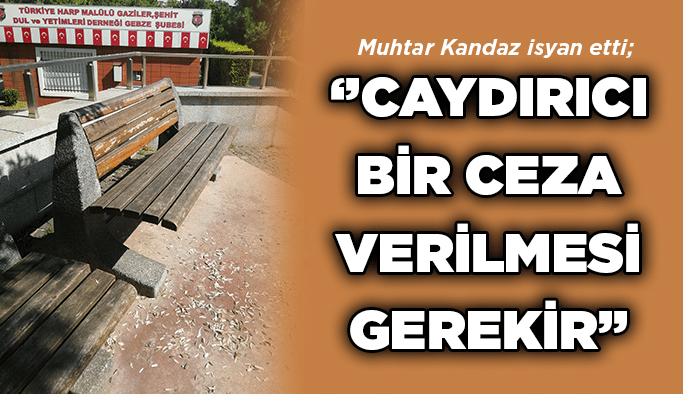 Muhtar Kandaz, ‘’Caydırıcı bir ceza verilmesi gerekir’’