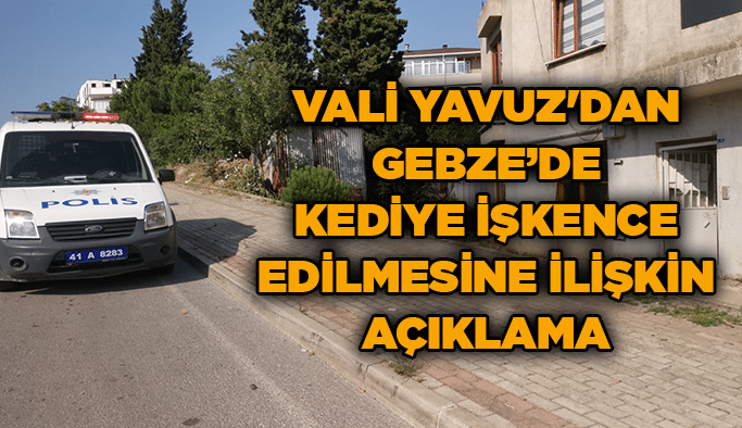 Vali Yavuz'dan Gebze’de kediye işkence edilmesine ilişkin açıklama