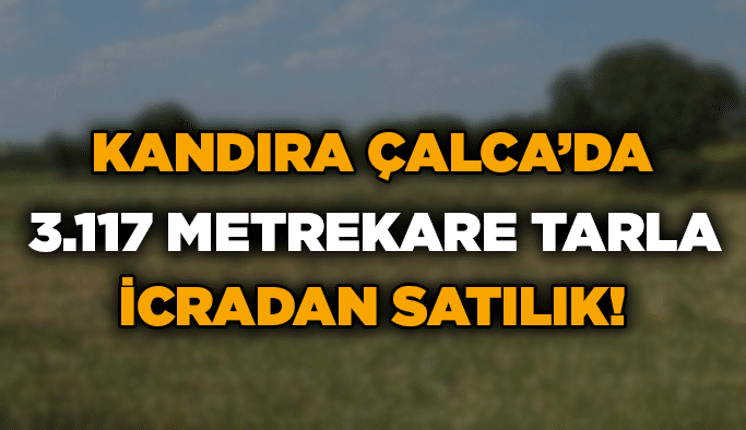 Kandıra Çalca’da 3.117 metrekare tarla icradan satılık!