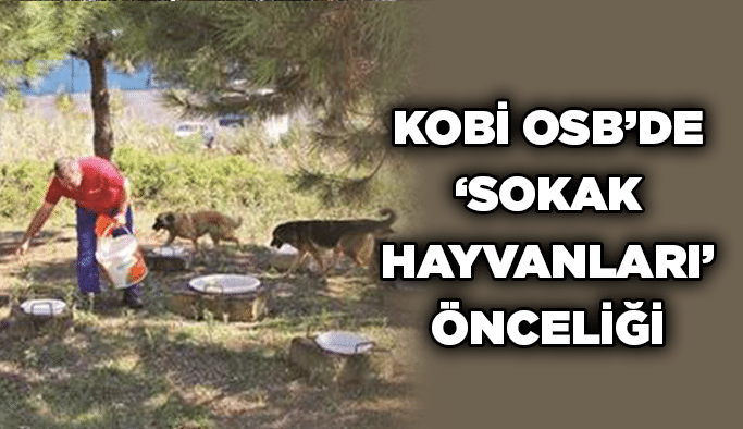 KOBİ OSB’de ‘Sokak Hayvanları’ önceliği