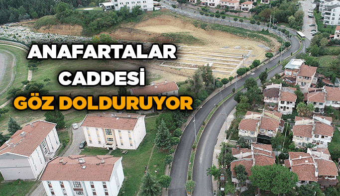 Anafartalar Caddesi göz dolduruyor