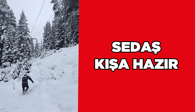 SEDAŞ kışa hazır