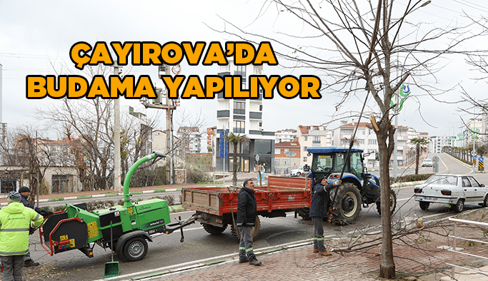 Çayırova’da budama yapılıyor