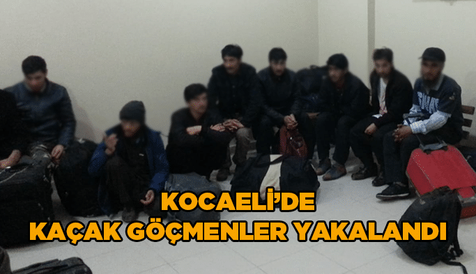 Kocaeli'de kaçak göçmenler yakalandı
