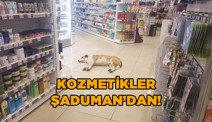 Kozmetikler Şaduman’dan!