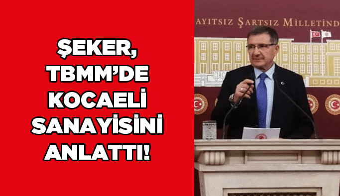 Şeker, TBMM’de  Kocaeli Sanayisini anlattı!