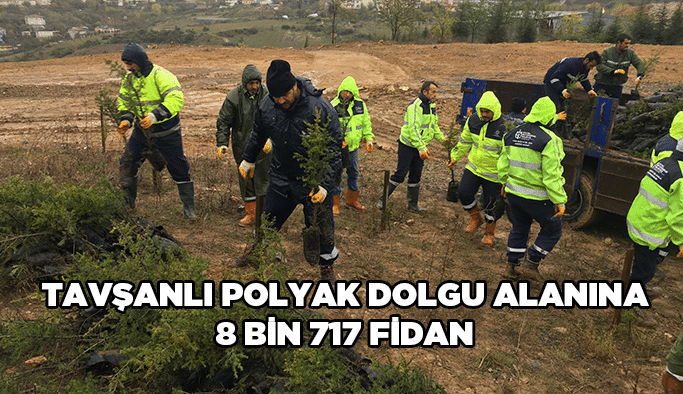 Tavşanlı Polyak dolgu alanına 8 bin 717 fidan