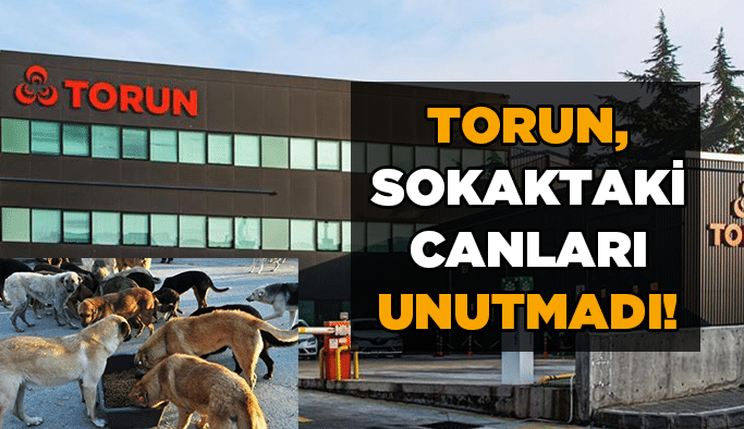 TORUN, sokaktaki canları unutmadı!