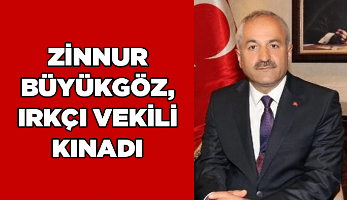 Zinnur Büyükgöz ırkçı vekili kınadı