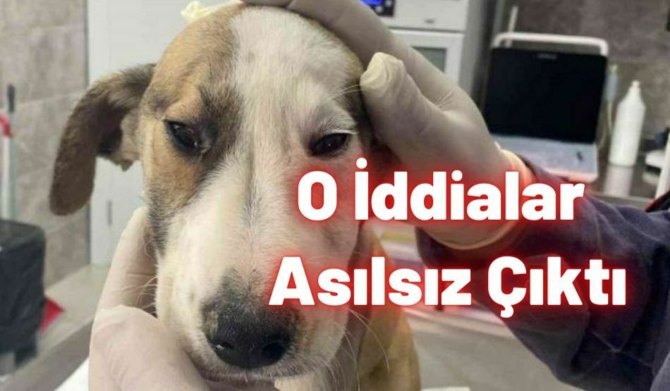O İddialar Asılsız Çıktı