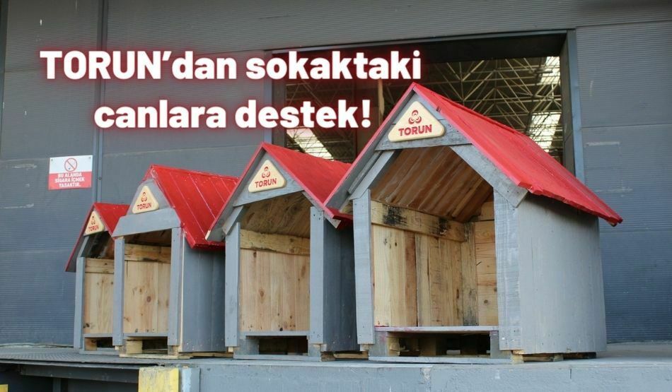 TORUN’dan Sokaktaki Canlara Destek!