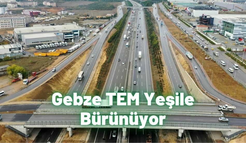Gebze TEM Yeşile Bürünüyor