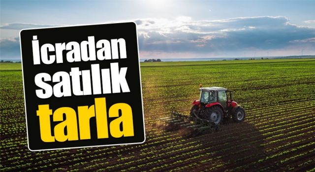 Kocaeli İzmit’te 11330 m² tarla icradan satılıktır