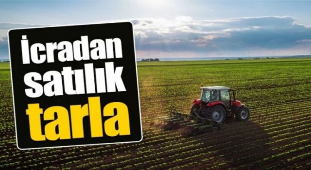 Kocaeli Gölcük’te 4808 m² tarla mahkemeden satılıktır