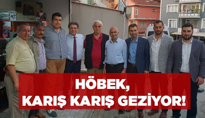 Höbek, Gölcük'ü  karış karış gezdi