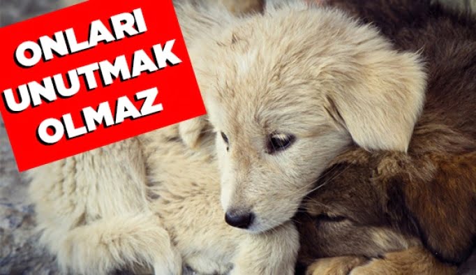 Onları unutmak olmaz