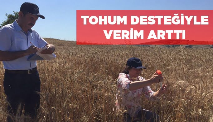 Tohum desteği ile verim arttı