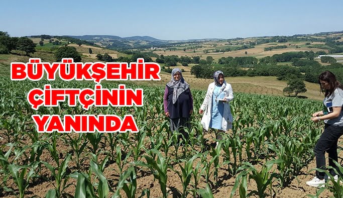 Büyükşehir çiftçinin yanında