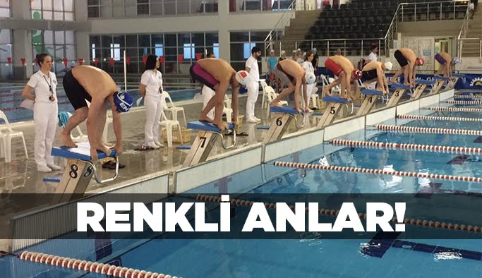 Renkli anlar