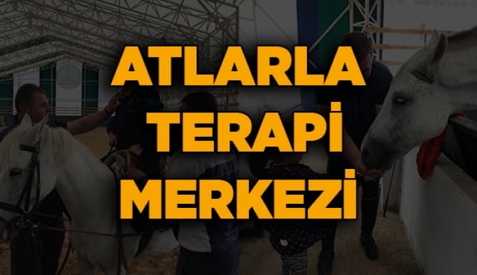 Atlarla terapi merkezi