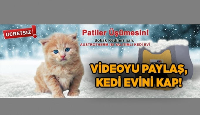 Videoyu paylaş, Kedi Evini kap!
