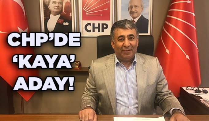CHP’de ‘Kaya’ aday!