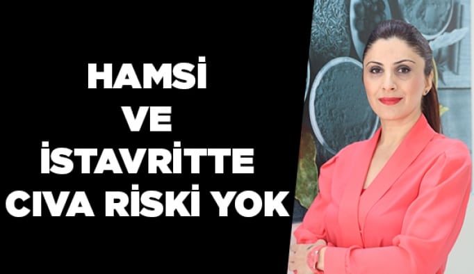 Hamsi ve istavritte cıva riski yok