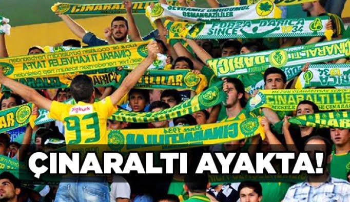 Çınaraltı ayakta!