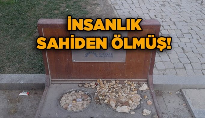 İnsanlık sahiden ölmüş!