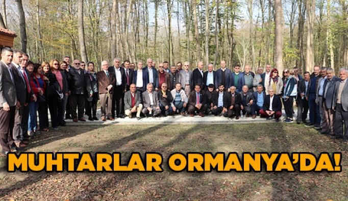 Muhtarlar Ormanya'da!