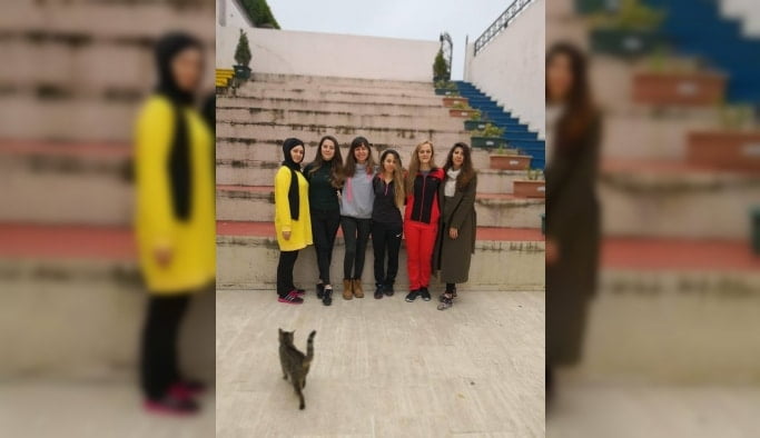 Yarışlar sonuçlandı