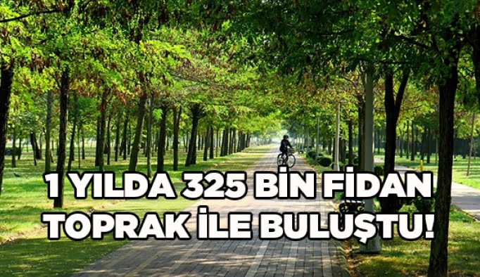 1 yılda 325 bin fidan toprak ile buluştu!