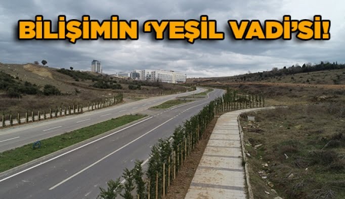 Bilişimin ‘Yeşil Vadi’si!