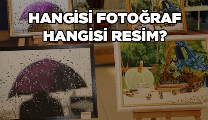 Hangisi fotoğraf hangisi resim?