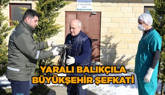 Yaralı Balıkçıla Büyükşehir şefkati