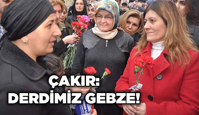 Çakır: Derdimiz Gebze!